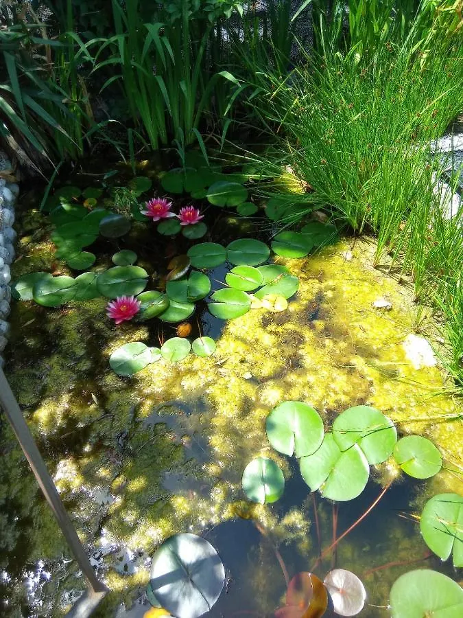 Nocleg ze śniadaniem Villa Fiorita Monfalcone