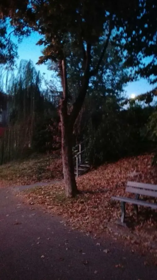 Nocleg ze śniadaniem Villa Fiorita Monfalcone
